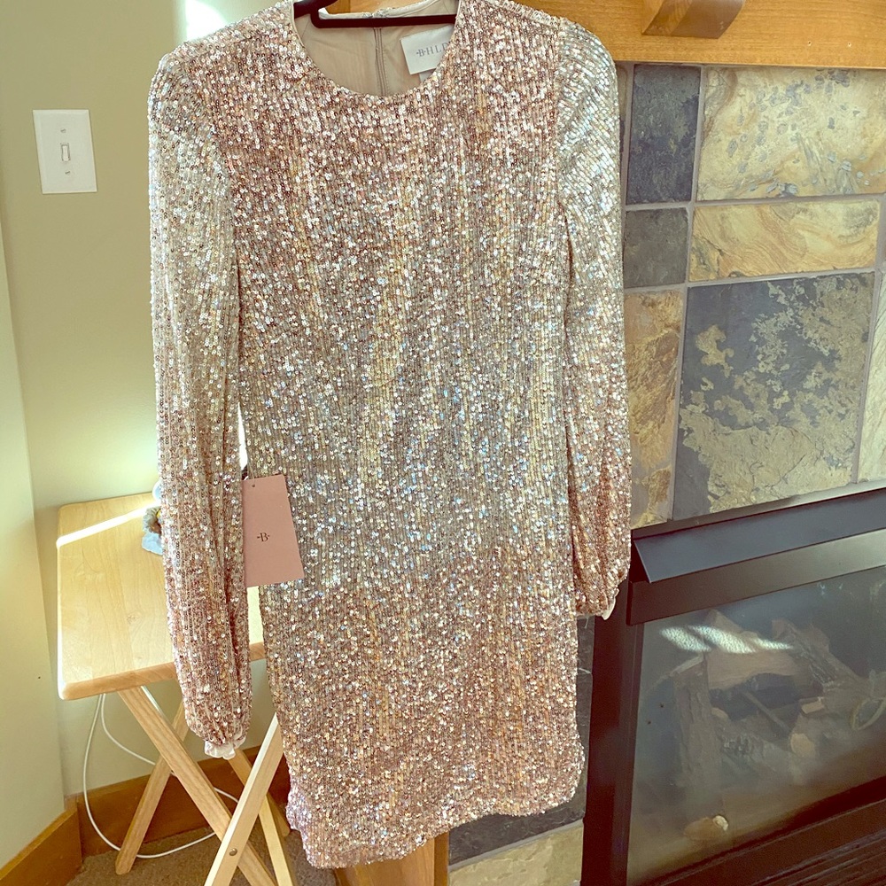 BHLDN Long Sleeved Evening Dress Size 6